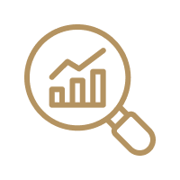 Cross-market consumer insight